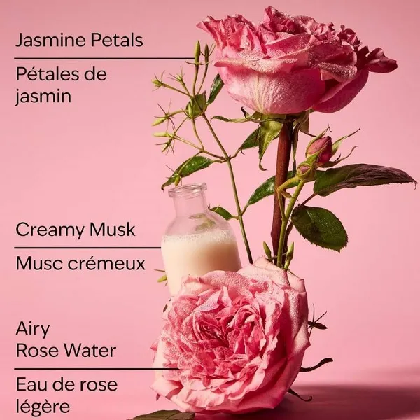 Bộ Sản Phẩm Chăm Sóc Da Bath & Body Works Rose Gift Set Kèm Túi