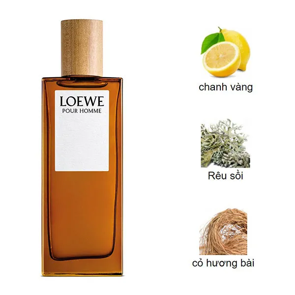 Nước Hoa Nam Loewe Pour Homme EDT 50ml