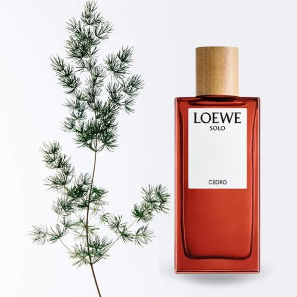 Nước Hoa Nam Loewe Solo Cedro Eau De Toilette 100ml