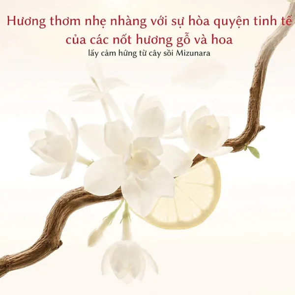 Tinh Chất Dưỡng Ẩm SK-II Facial Treatment Serum PITERA 10ml