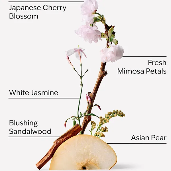 Xịt Thơm Toàn Thân Bath & Body Works Japanese Cherry Blossom Fine Fragrance Mist 75ml