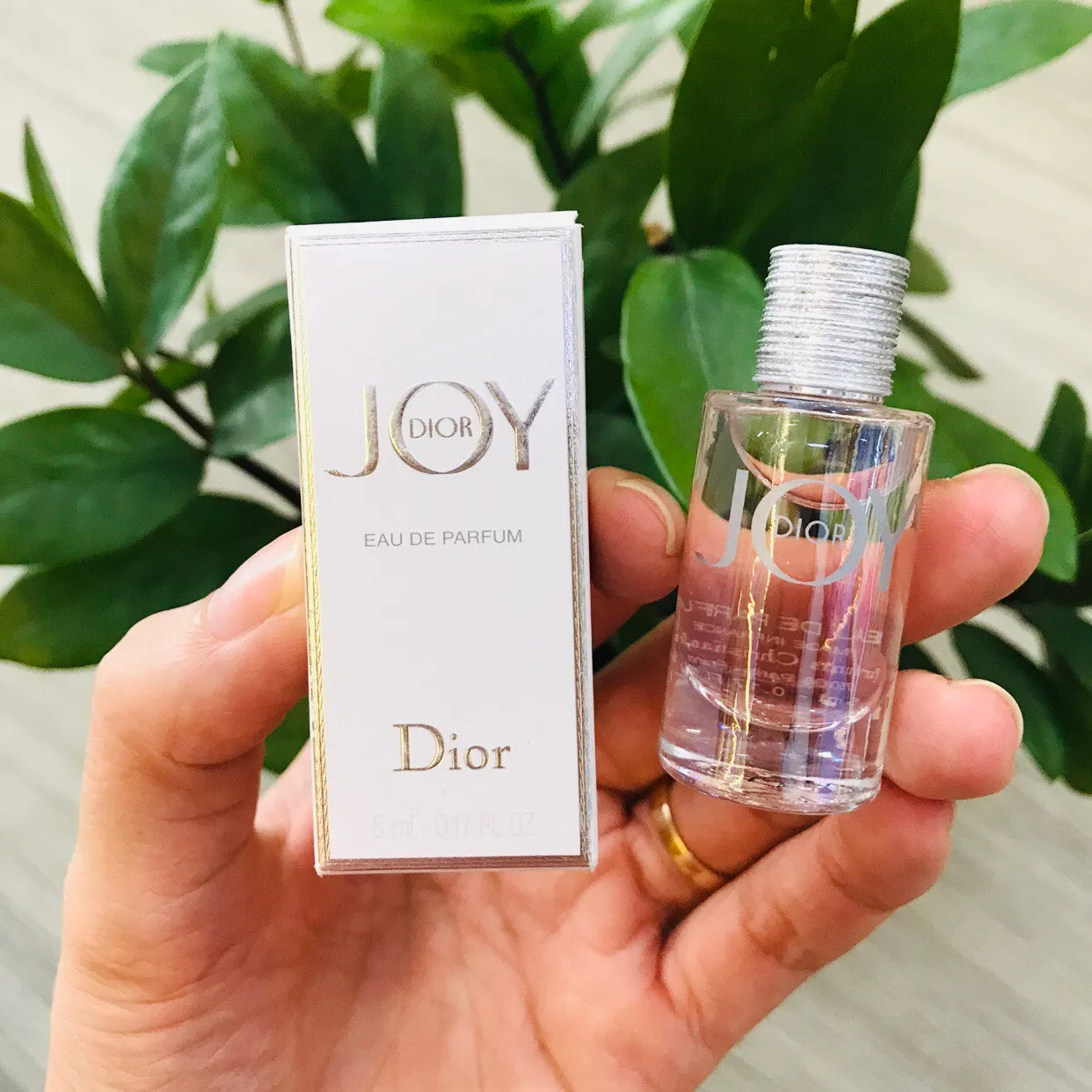 joy dior mini