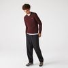 Áo Len Lacoste Men's V-Neck Organic Cotton Sweater Màu Đỏ Mận Size S-1