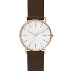 Đồng Hồ Skagen SKW6431 Cho Nam Màu Nâu Mặt Bạc