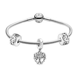 Set Vòng Đeo Tay + Hạt Vòng Charm Pandora Moments Family Theme Bracelet Set Màu Bạc