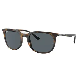 Kính Mát Unisex Ray-Ban 0RB4386F 710/R555.CS Màu Đen/ Đồi Mồi