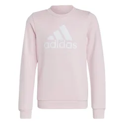 Áo Nỉ Sweatshirt Trẻ Em Adidas Essentials Big Logo IC6119 Màu Hồng Size 130