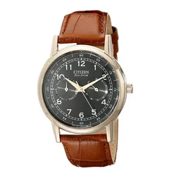 Đồng Hồ Nam Citizen Eco-Drive AO9003-08E Brown Leather Watch Màu Nâu