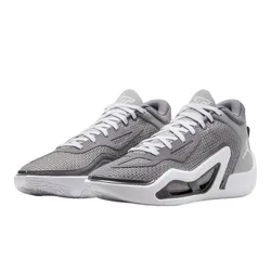 Giày Thể Thao Nam Nike Tatum 1 Home Team PF DZ3330-002 Màu Xám Size 41