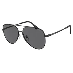 Kính Mát Nam Emporio Armani 0EA2149D 30018160 Màu Đen