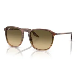 Kính Mát Unisex Rayban 0RB2203F 13920A55 Màu Nâu Gradient