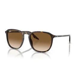 Kính Mát Unisex Rayban 0RB2203F 902/5155 Nâu Havana