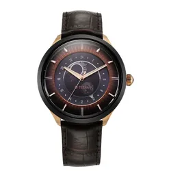 Đồng Hồ Nam Titan Luna Sun Moon Phase In Seinna Brown Watch 10028KL02 Màu Nâu Đậm