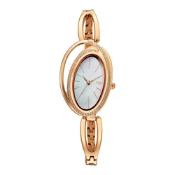 Đồng Hồ Nữ Titan Raga Delight Brown Dial Analog Watch 95197WM01 Màu Vàng Hồng