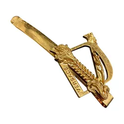 Kẹp Tóc Versace Hair Clip In Gold DGVH085DJMT Màu Vàng D-HH
