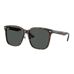 Kính Mát Rayban Sunglasses RB2206D 901/87 57-18 Màu Xanh/Havana