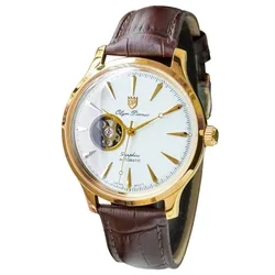 Đồng Hồ Nam Olym Pianus OP99141-71AGK-GL-T Phối Màu