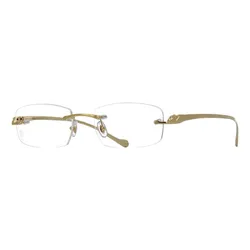 Gọng Kính Cartier Panthère De CT0061O 002 Màu Trong Suốt