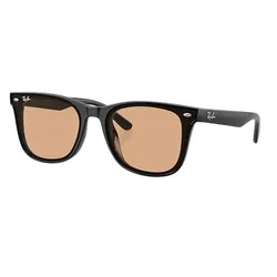 Kính Mát Rayban Sunglasses RB4391D 601/93 65-18 Màu Nâu/Đen
