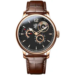 Đồng Hồ Nam Lobinni LB18012G-D2 Màu Nâu Đen