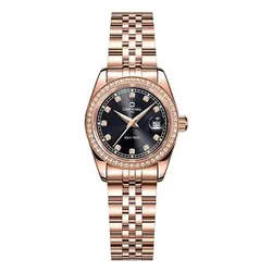 Đồng Hồ Nữ Carnival 8131L2-VH-D Màu Vàng Đen