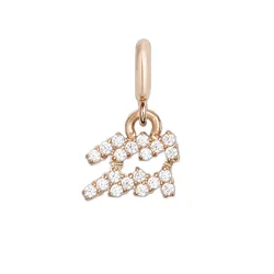 Charm Đồng Hồ Daniel Wellington Zodiac 12 Zodiac Watch Charm Rose Gold Signs Aquarius Màu Vàng Hồng