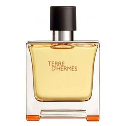 Nước Hoa Nam Hermes Terre D'hermes Paris Parfum Pure Perfume For Men 75ml
