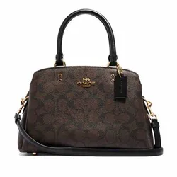 Túi Xách Coach Mini Lillie Carryall F91494 Màu Nâu Đậm Size 25