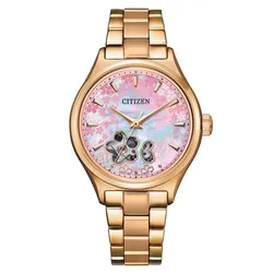 Review 10 Mẫu Đồng Hồ Citizen Cơ Lộ Máy Bán Chạy, Vô Cùng Đẹp
