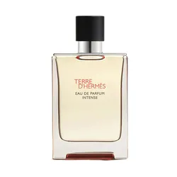 Nước Hoa Nam Hermès Terre D'Hermès EDP Intense 100ml