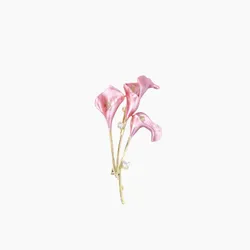 Cài Áo Nữ Meri Spathe Flower BR139 Màu Hồng Vàng