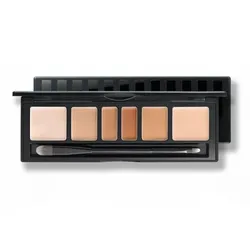 Bảng Che Khuyết Điểm Triệt Sắc Jung Saem Mool Artist Concealer Palette Tone Skin