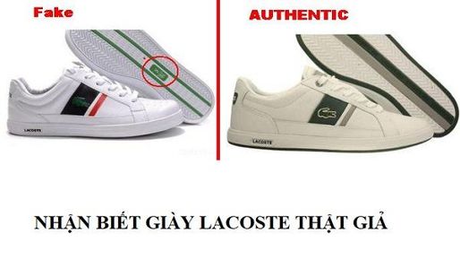 5 cách nhận biết giày Lacoste thật giả và địa chỉ mua uy tín 