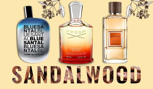 Top 10 chai nước hoa mùi gỗ đàn hương nổi tiếng nhất hiện nay