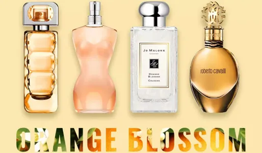 Top 12 chai nước hoa Orange Blossom mùi hoa cam ngọt mát