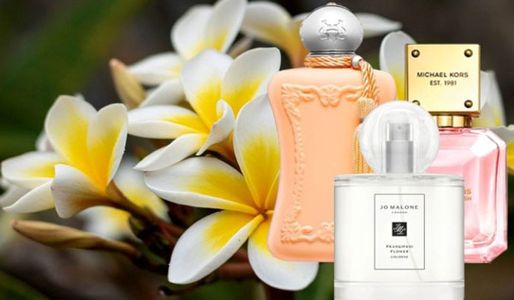 Top 9 chai nước hoa mùi hoa sứ thơm nhất cho phái nữ
