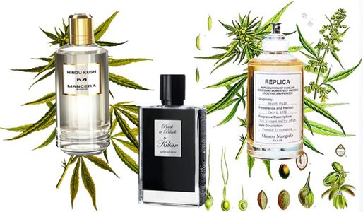 Review 5 chai nước hoa mùi cần sa gây nghiện cho dân “chuyên cần”
