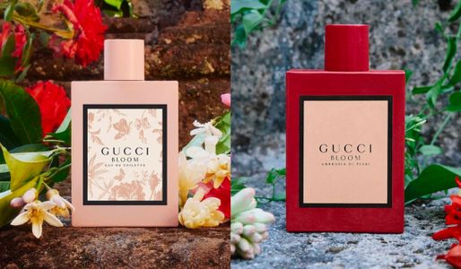 So sánh nước hoa Gucci Bloom đỏ và hồng: Nên mua loại nào?