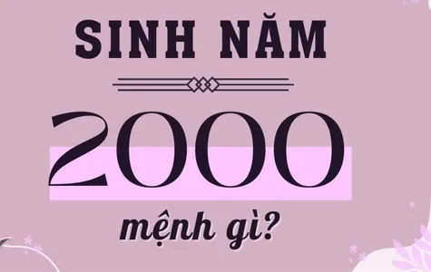 sinh-nam-2000-menh-gi-hop-mau-nao-cach-chon-do-hop-menh