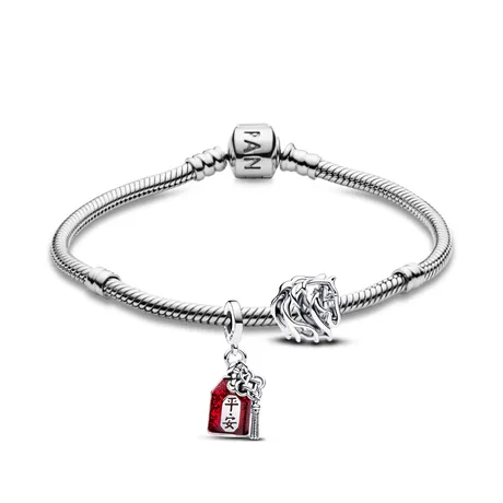 Pandora — Set Vòng Đeo Tay + Hạt Vòng Charm Pandora Vạn Sự Bình An Màu Bạc
