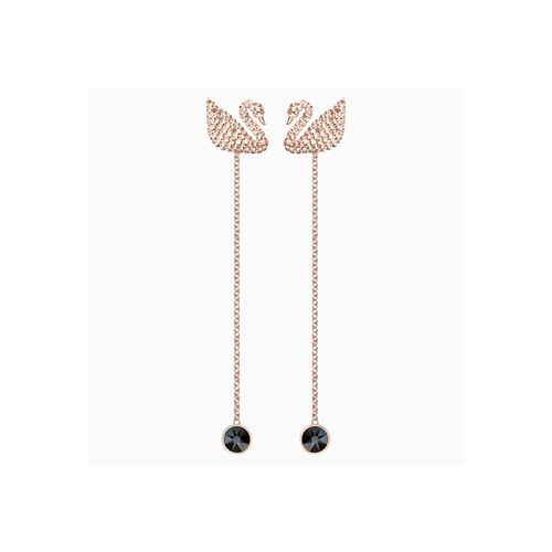 Khuyên Tai Swarovski Iconic Swan Pierced Earrings, Brown, Rose-Gold Tone Plated