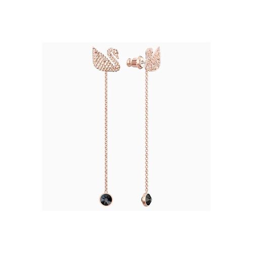 Khuyên Tai Swarovski Iconic Swan Pierced Earrings, Brown, Rose-Gold Tone Plated-3