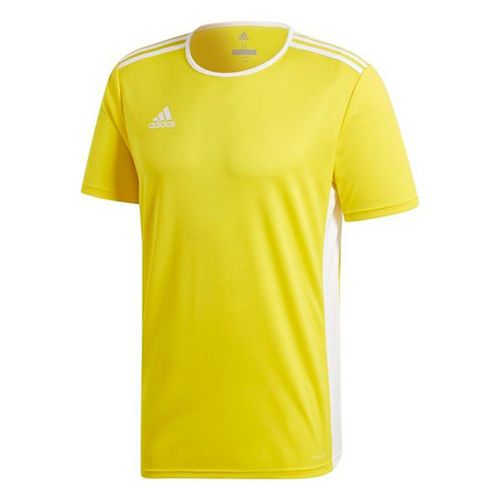 Áo Thể Thao Adidas Entrada 18 Jersey Yellow White Tshirt CD8390 Màu Vàng