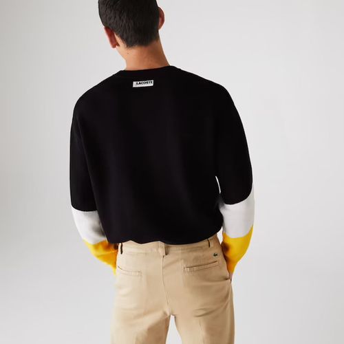 Áo Len Lacoste Men's Crew Neck Colorblock Cotton Sweater AH2060-51 Size S-4