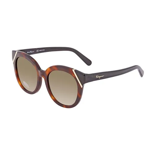 Kính Mát Salvatore Ferragamo Cat Eye Asian Fit Sunglasses