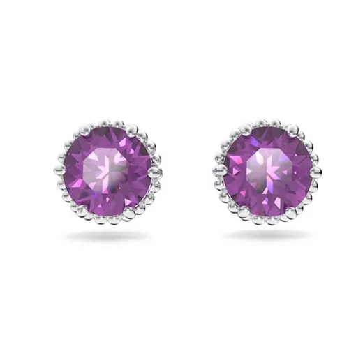 Trang sức - Khuyên Tai Nữ Swarovski Birthstone Stud Earrings Round Cut, February, Purple, Rhodium Plated 5615517 Màu Tím - Vua Hàng Hiệu