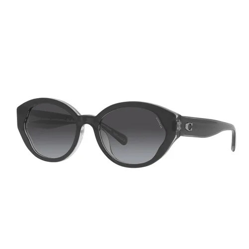 Kính mắt Coach Đen xám - Kính Mát Coach Grey Gradient Cat Eye Ladies Sunglasses HC8364U 57458G 55 Màu Đen Xám - Vua Hàng Hiệu