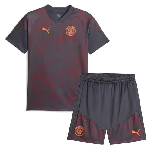 Thời trang - Bộ Thể Thao Nam Puma Manchester City Soccer 772855-16 Màu Xám Phối Đỏ Size M - Vua Hàng Hiệu