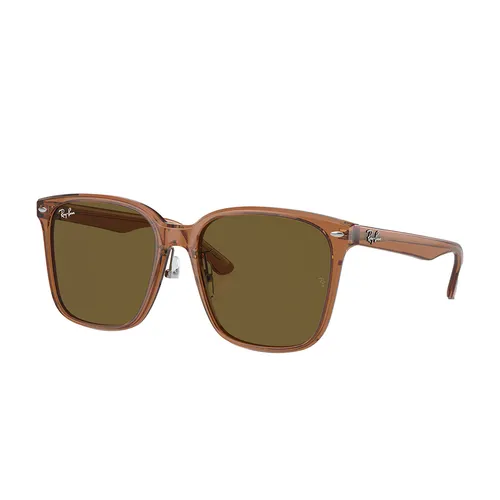 Kính Mát Rayban Sunglasses RB2206D 663673 57-18 Màu Nâu