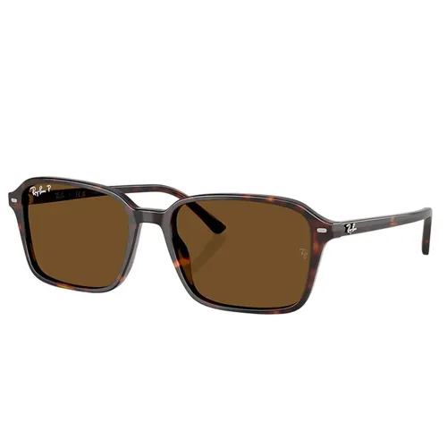 Kính Mát Rayban Raimond RB2231F 902/57 Brown Polarized Màu Nâu Havana